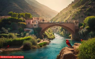 Birds of Beauty: Exploring Bird-Friendly Hiking Trails in and Around Chefchaouen