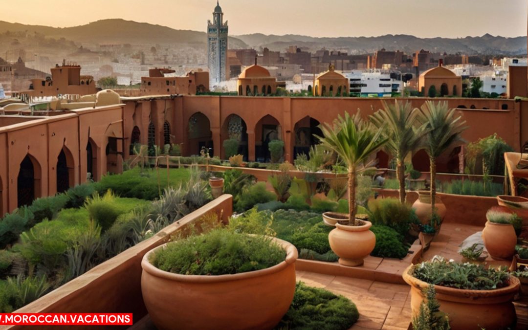 Marrakesh's Rooftop Gardens: Oasis of Tranquility Above the City