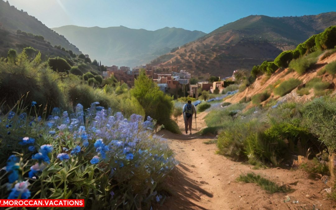 Nature's Paradise: Hiking Trails for Nature Enthusiasts in Chefchaouen
