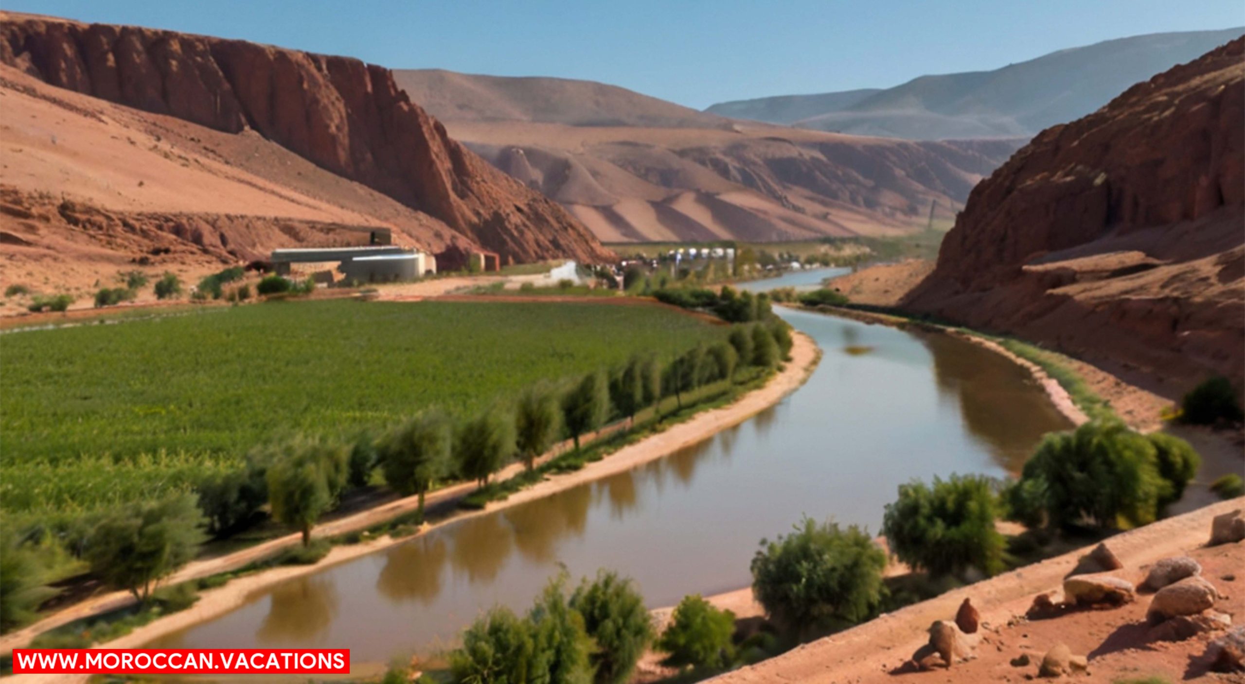 An image of Dades valley ecosystem.