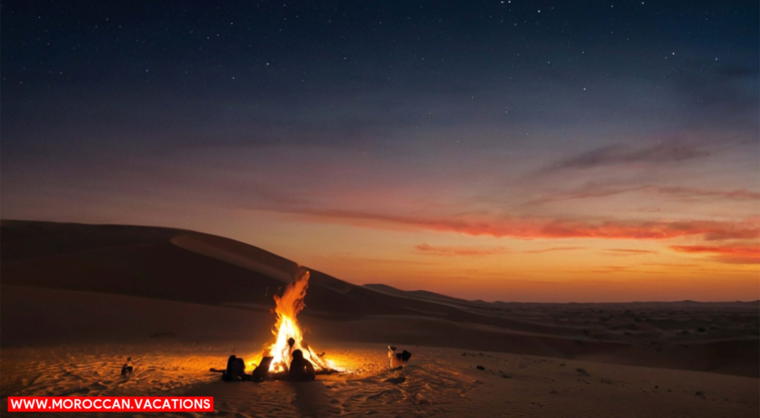 bonfire in sahara desert.